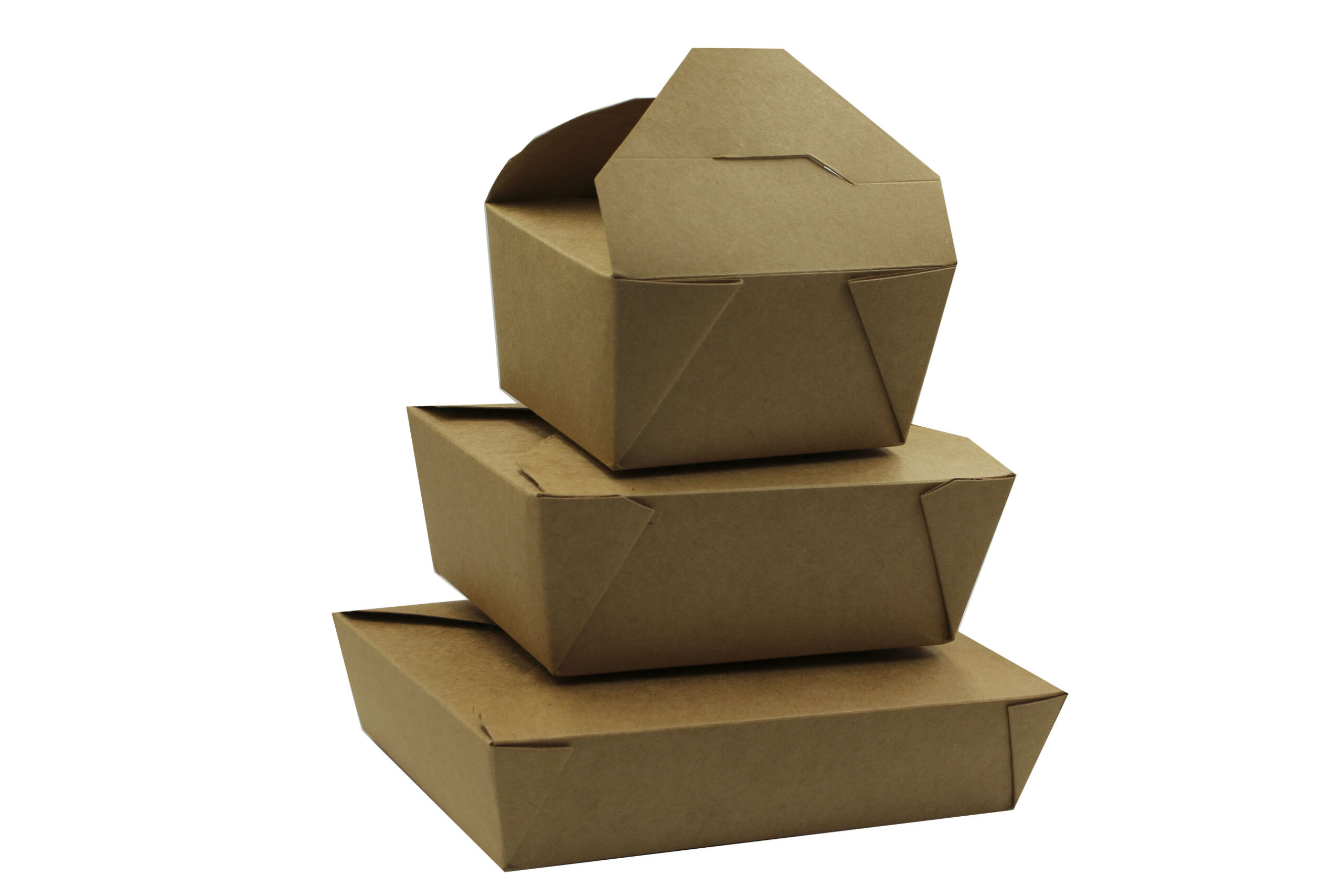 Take-Away Box - 图片 10