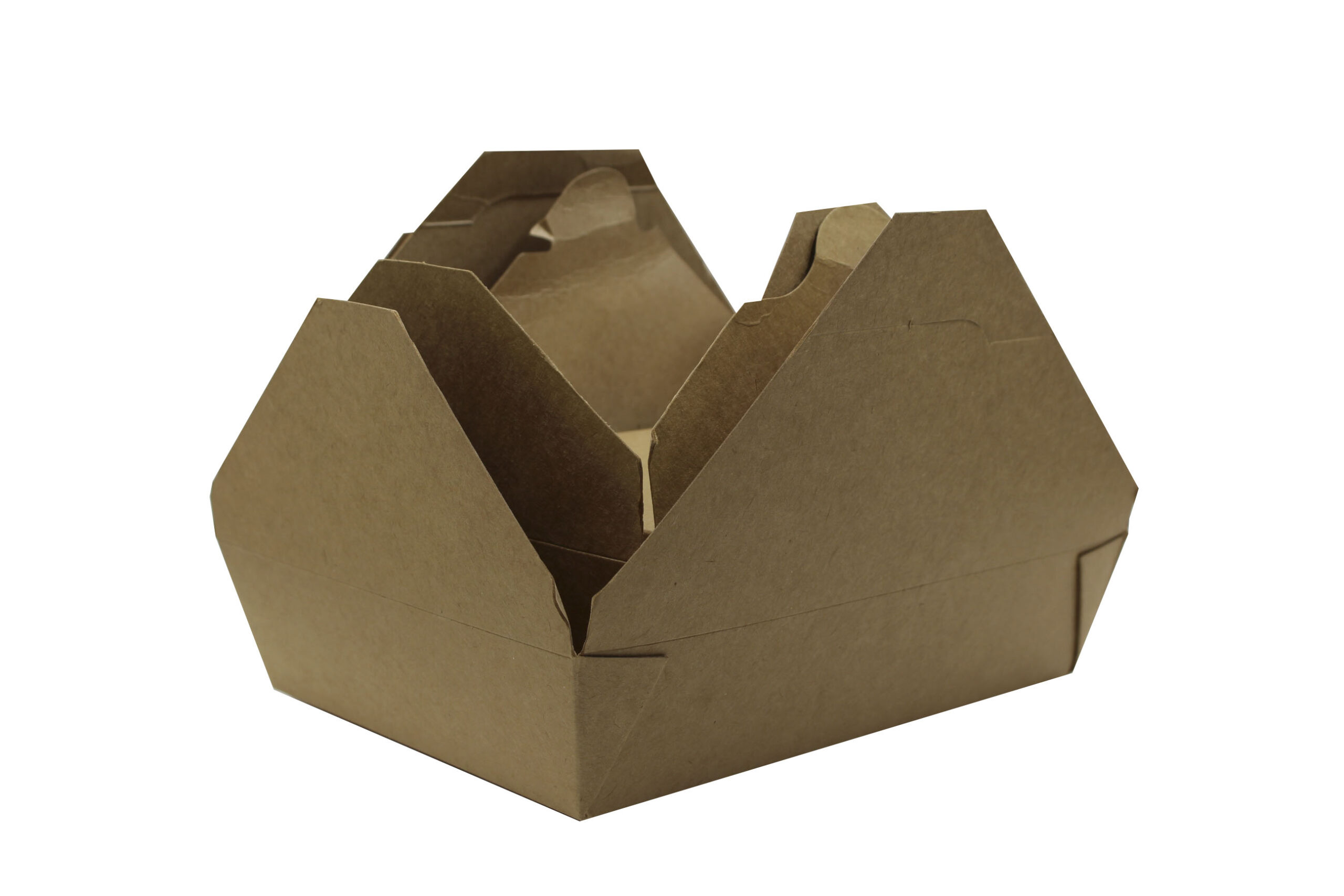 Take-Away Box - 图片 12