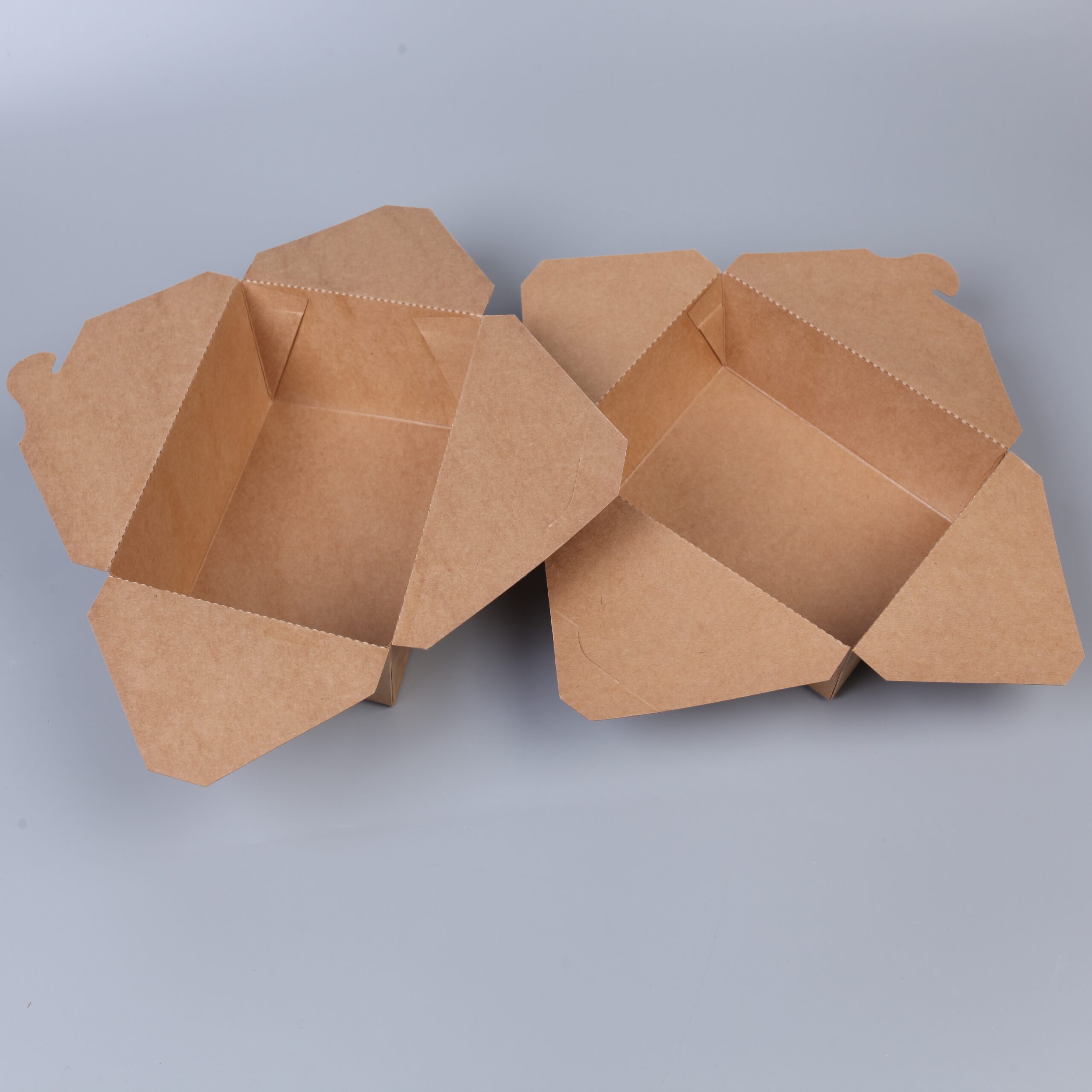 Take-Away Box - 图片 7