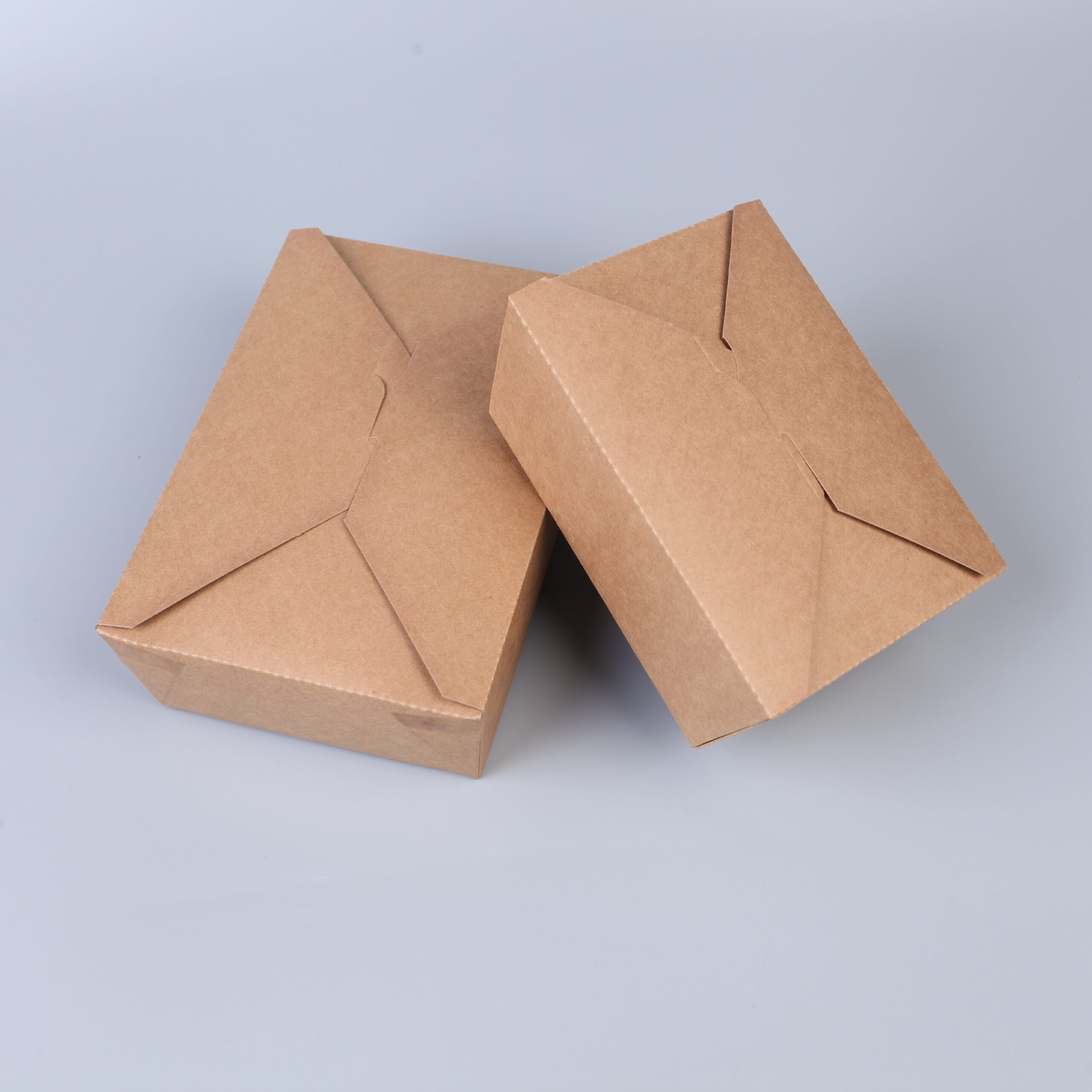 Take-Away Box - 图片 8